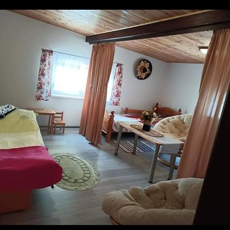 Wczasy Na Kaszubach U Hani Wiele Exterior photo