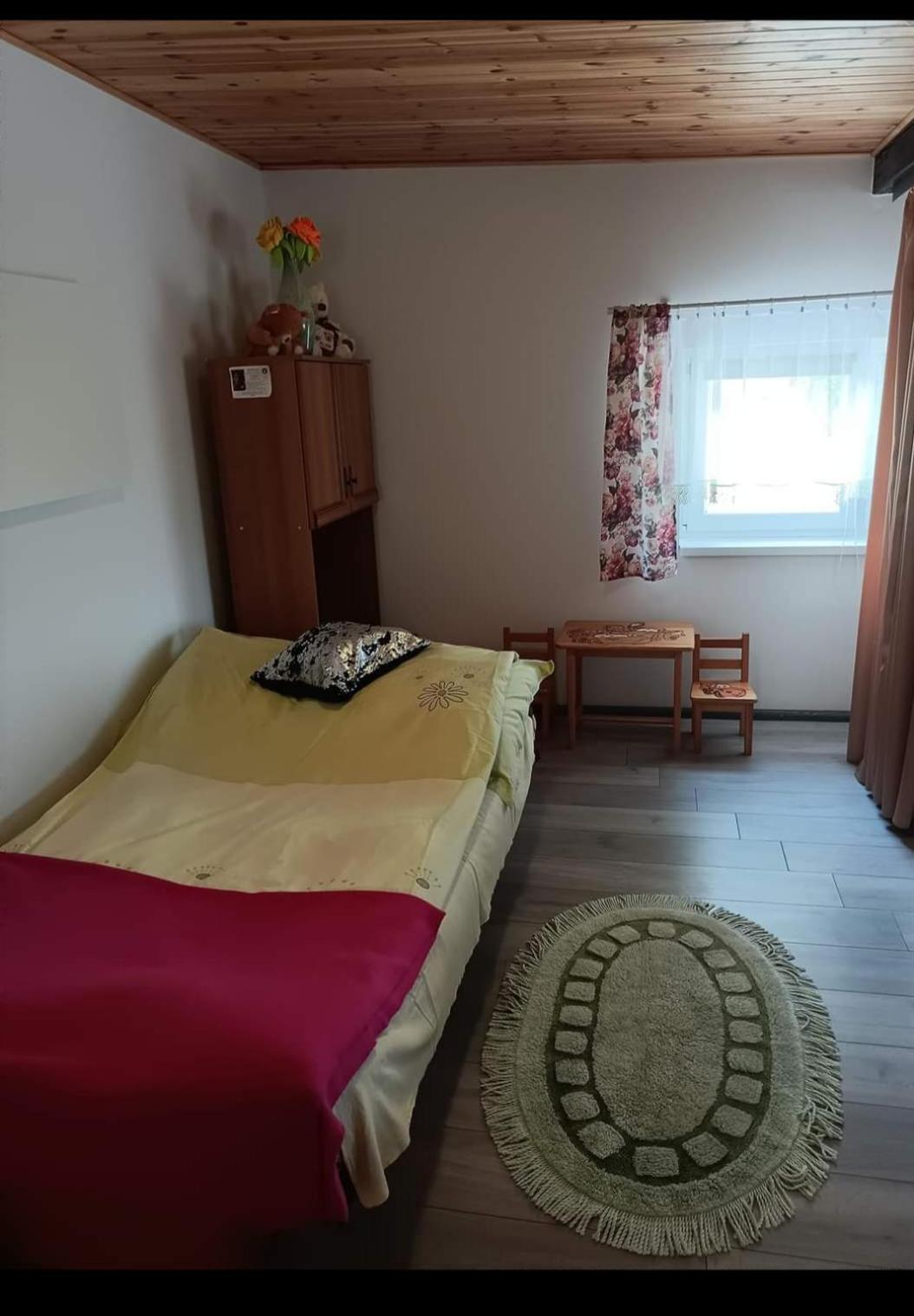 Wczasy Na Kaszubach U Hani Wiele Exterior photo