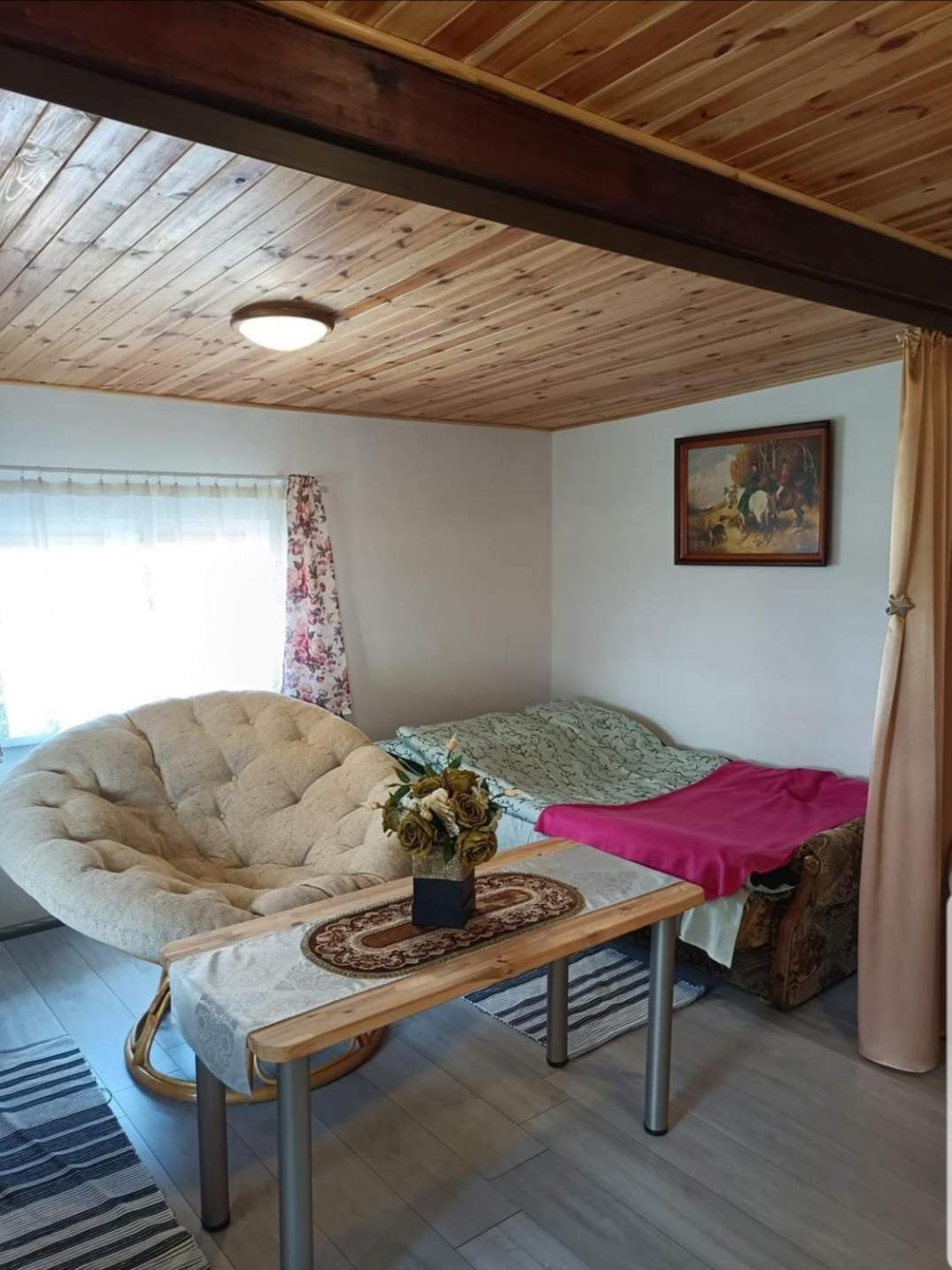 Wczasy Na Kaszubach U Hani Wiele Exterior photo