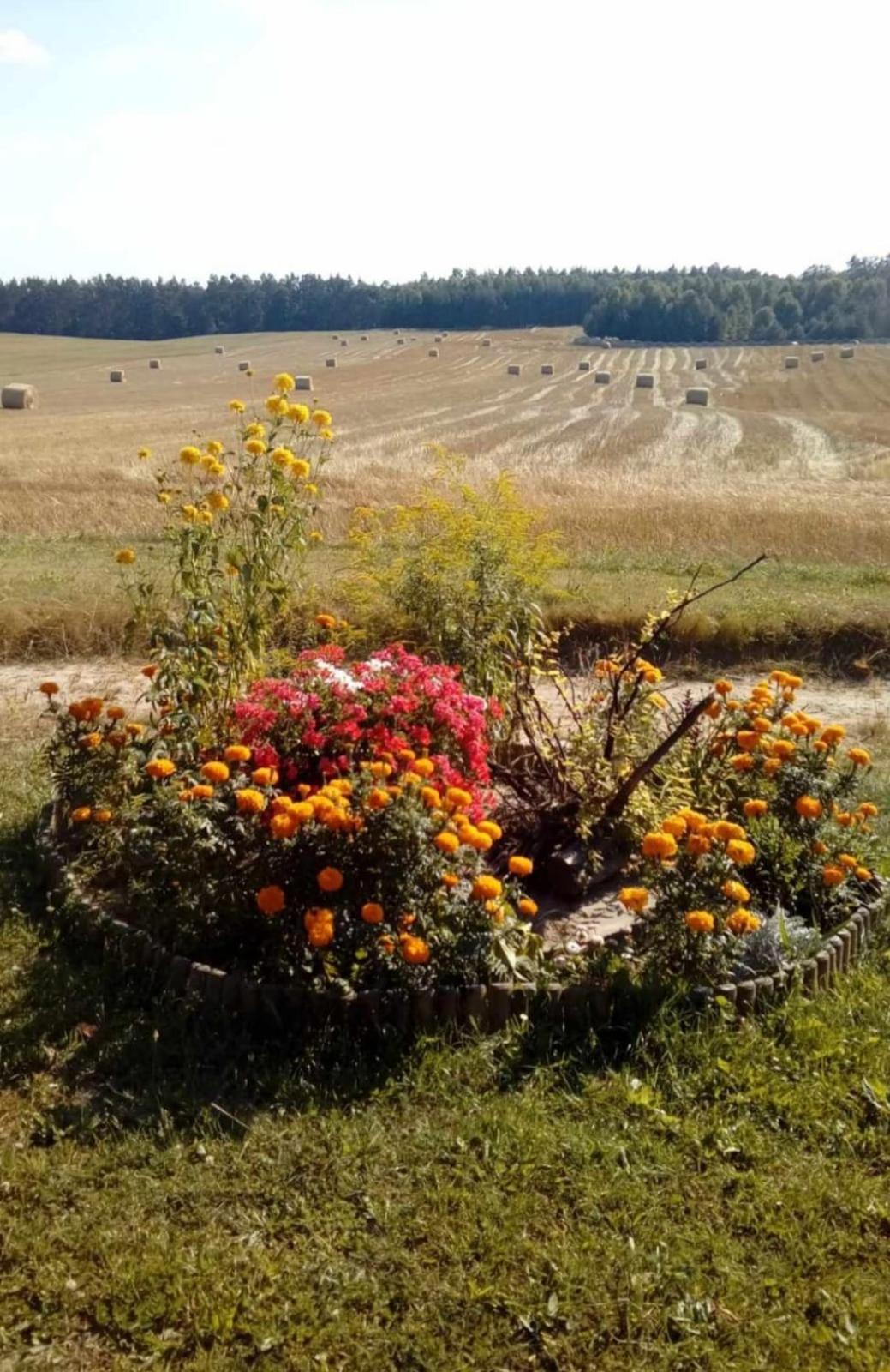 Wczasy Na Kaszubach U Hani Wiele Exterior photo